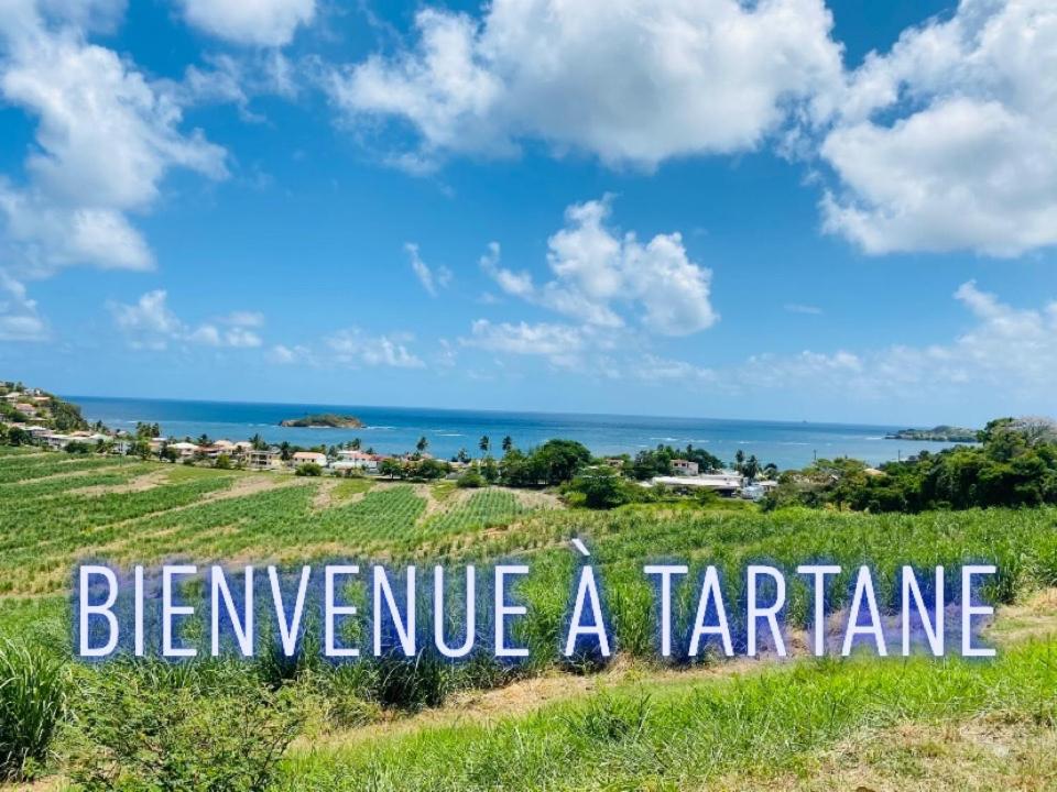 Residence De La Baie 2 - Bleu Soleil Tartane Trinite  Exterior foto